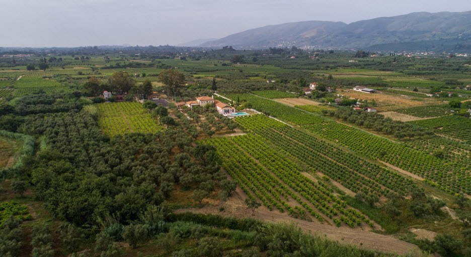 Aneli-Villa-Elissavet-the-estate-and-the-villa-aerial-view